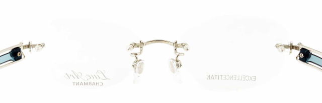 ��������݃��K�l���C���A�[�g1747-BL-S50