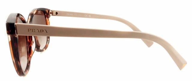 �v���_���f�B�[�X�T���O���X22ZSF-07R0A6-S55