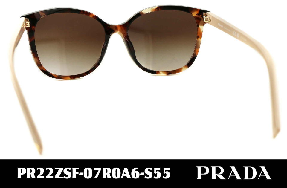 �v���_���f�B�[�X�T���O���X22ZSF-07R0A6-S55