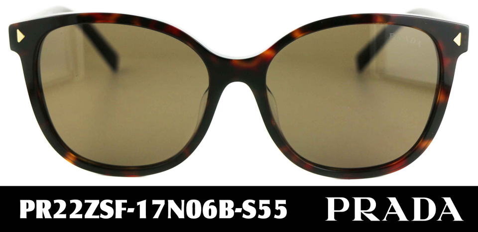 �T���O���X���f�B�[�X�v���_22ZSF-17N06B-S55