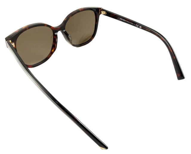 �T���O���X���f�B�[�X�v���_22ZSF-17N06B-S55