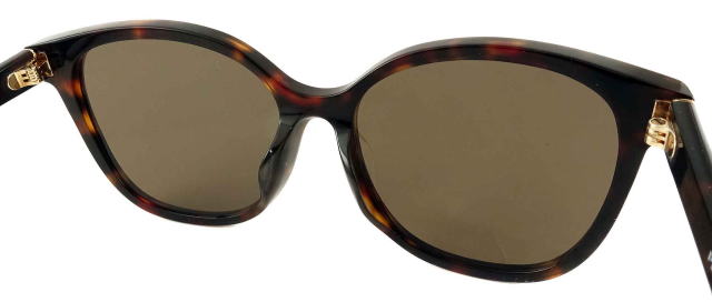 �T���O���X���f�B�[�X�v���_22ZSF-17N06B-S55