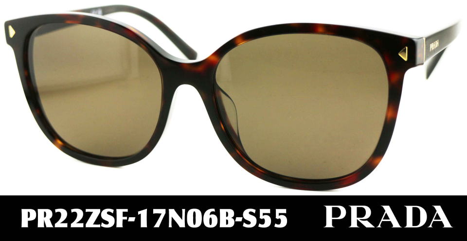 �T���O���X���f�B�[�X�v���_22ZSF-17N06B-S55