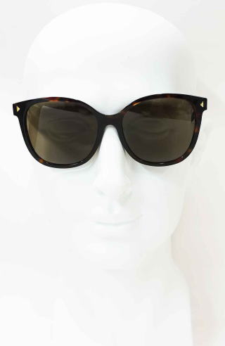 �T���O���X���f�B�[�X�v���_22ZSF-17N06B-S55