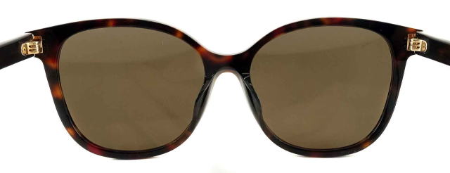 �T���O���X���f�B�[�X�v���_22ZSF-17N06B-S55