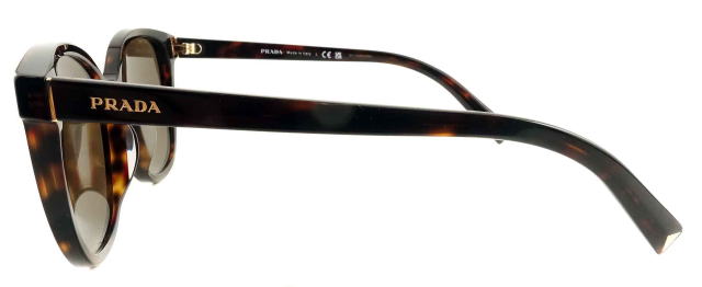 �T���O���X���f�B�[�X�v���_22ZSF-17N06B-S55