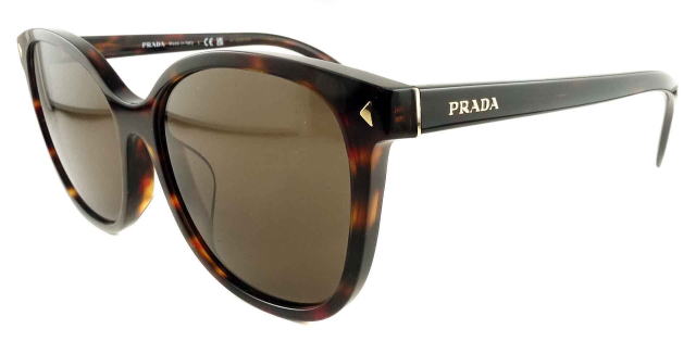 �T���O���X���f�B�[�X�v���_22ZSF-17N06B-S55