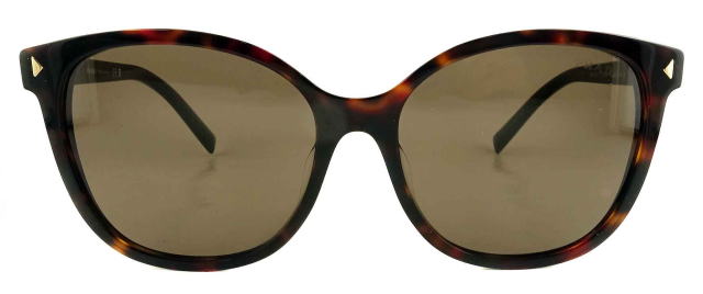 �T���O���X���f�B�[�X�v���_22ZSF-17N06B-S55