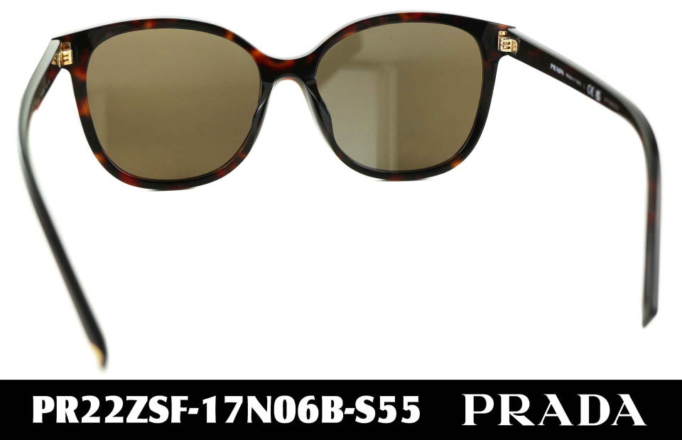 �T���O���X���f�B�[�X�v���_22ZSF-17N06B-S55