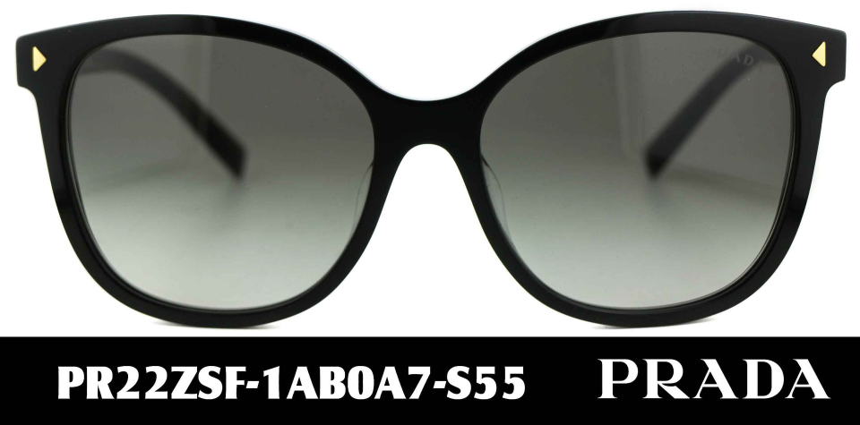 �T���O���X�v���_���f�B�[�X22ZSF-1AB0A7-S55