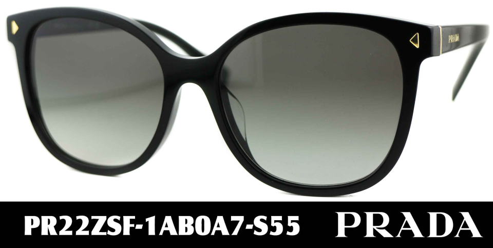 �T���O���X�v���_���f�B�[�X22ZSF-1AB0A7-S55