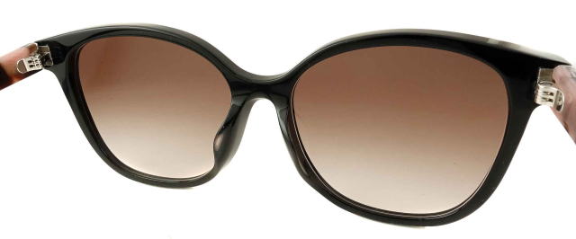 ���f�B�[�X�T���O���X�v���_22ZSF-28F90P-S55