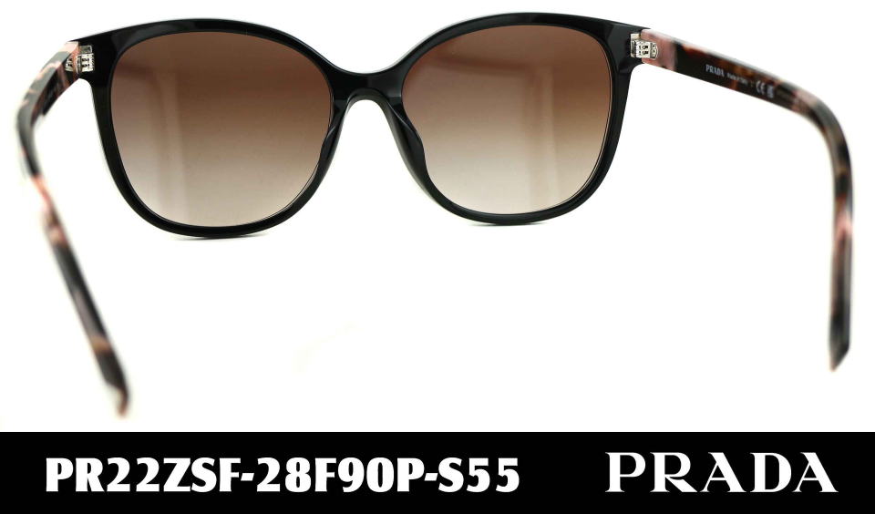 ���f�B�[�X�T���O���X�v���_22ZSF-28F90P-S55