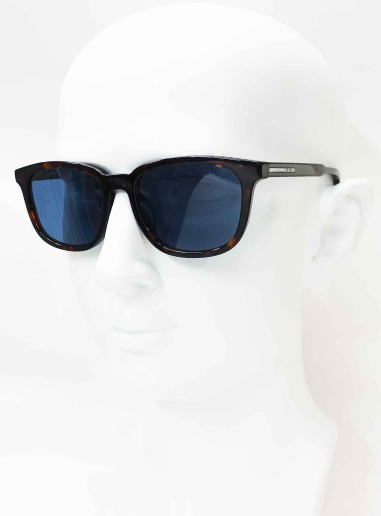 �T���O���X�����Y�v���_A21SF-17N06A-S55