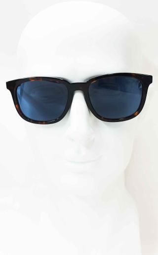 �T���O���X�����Y�v���_A21SF-17N06A-S55