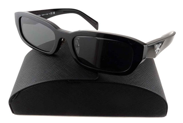 �����Y�T���O���X�v���_B06SF-16K08Z-S55