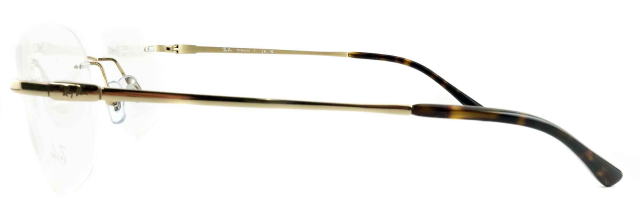 フチナシレイバンメガネフレーム8783D-1251-S52