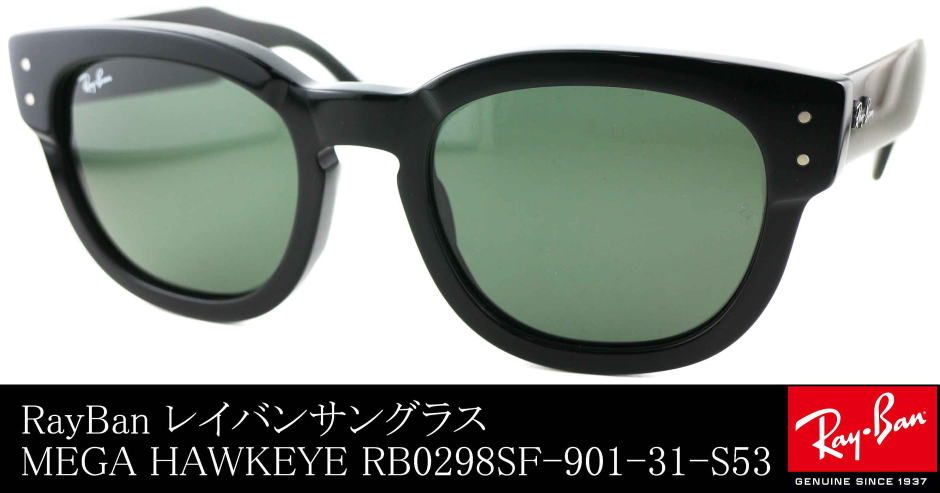 レイバンサングラス0298SF-901-31-S53