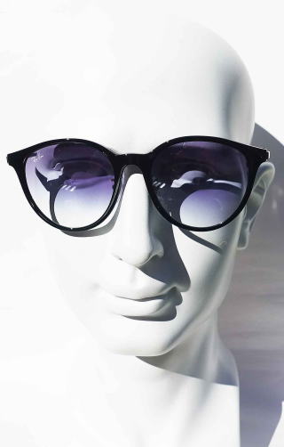 ���C�o�������T���O���X4334D-601-19-S55