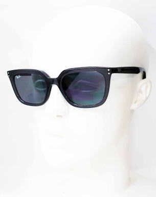 ���C�o���T���O���X4439D-6675-87-S54