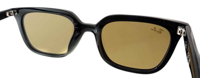 ���C�o���T���O���X4439D-901-73-S54