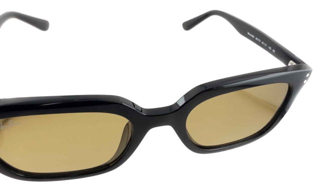 ���C�o���T���O���X4439D-901-73-S54