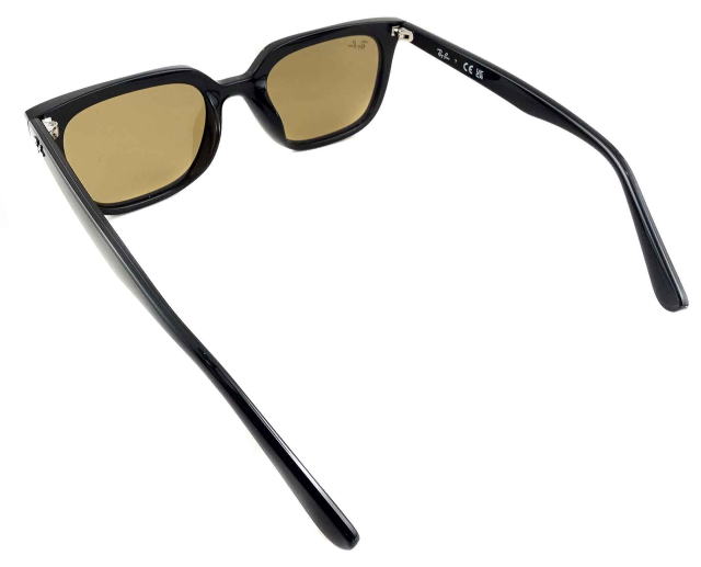 ���C�o���T���O���X4439D-901-73-S54