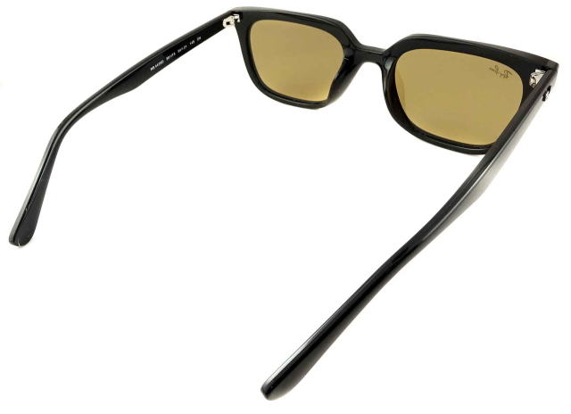 ���C�o���T���O���X4439D-901-73-S54