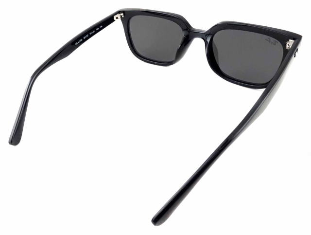 ���C�o���T���O���X4439D-901-87-S54