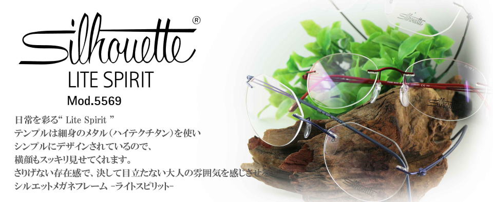 日本公式販売店 Silhouette シルエット メガネフレーム M6494 - 小物